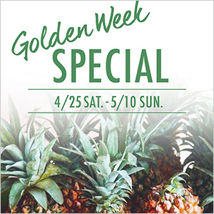 Golden Week SPECIAL